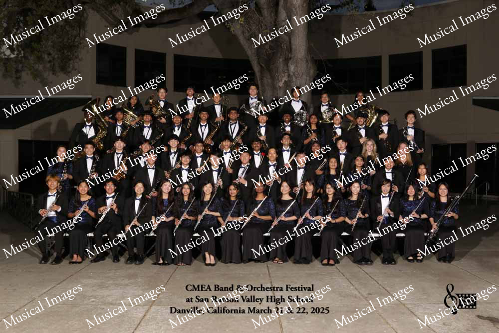Musical Images